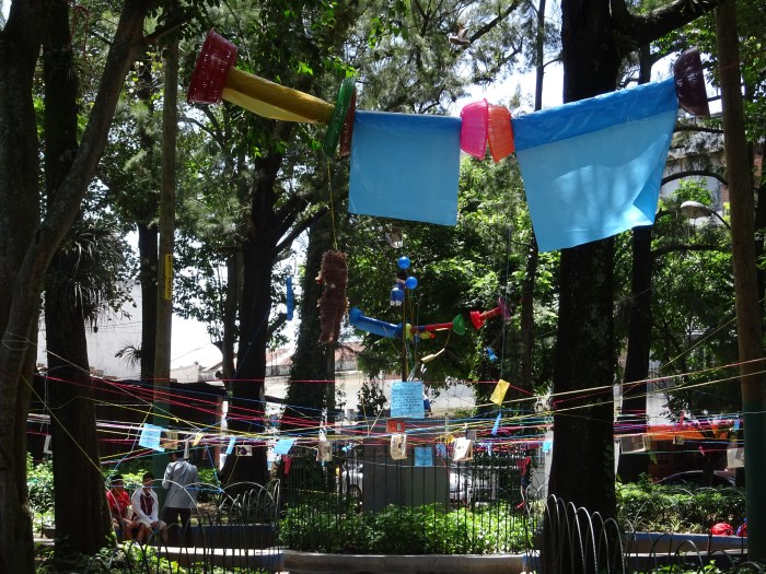 5eme jour_Vue d'ensemble_Guatemala.jpg